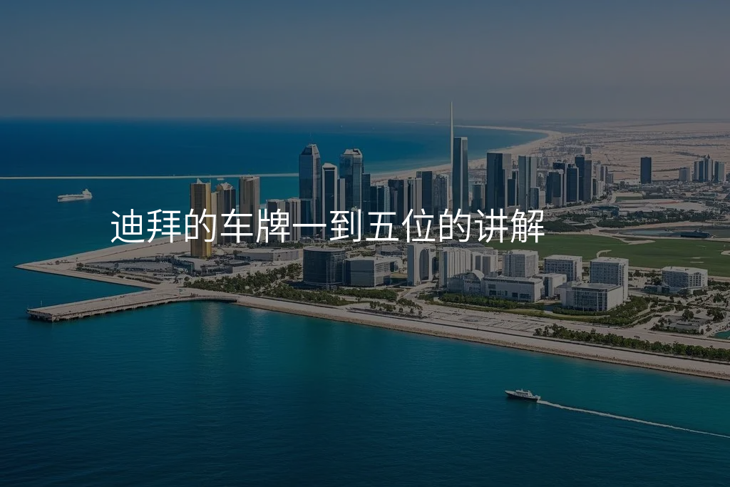 迪拜的车牌一到五位的讲解