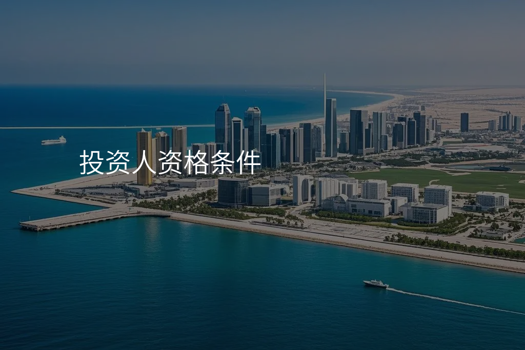 投资人资格条件