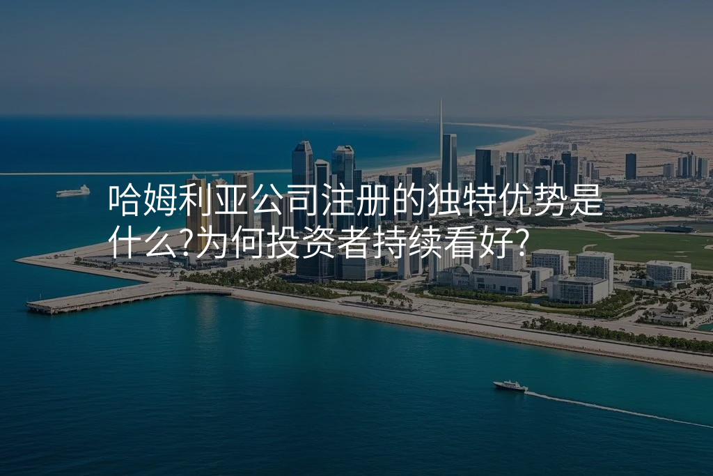 哈姆利亚公司注册的独特优势是什么?为何投资者持续看好?
