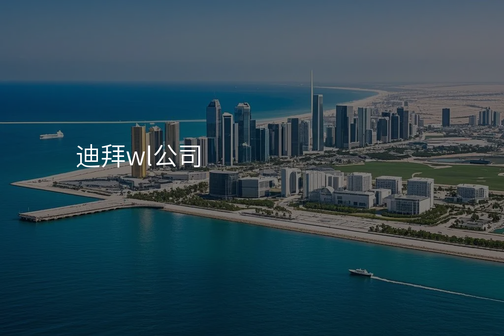 迪拜wl公司