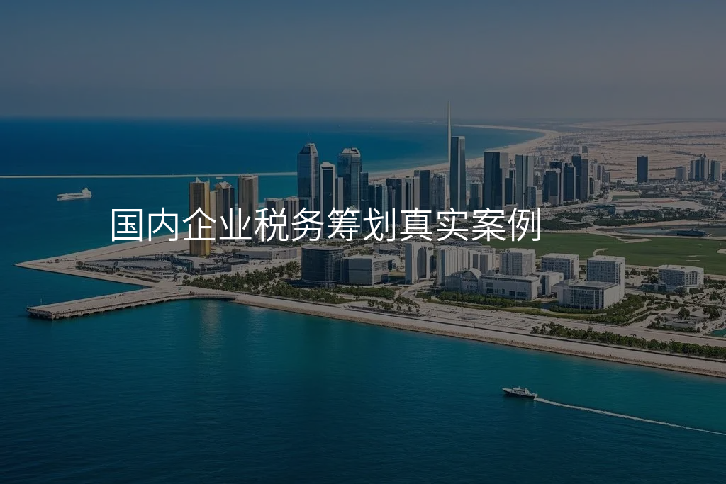 国内企业税务筹划真实案例