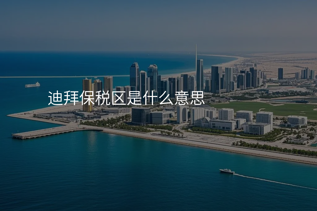 迪拜保税区是什么意思