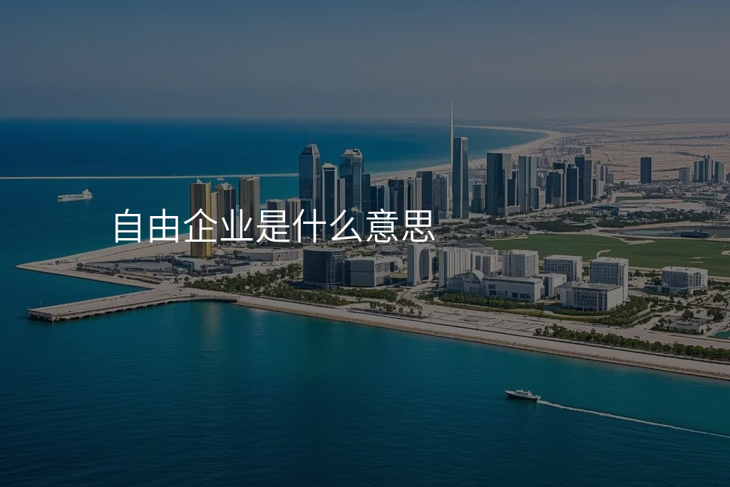 自由企业是什么意思