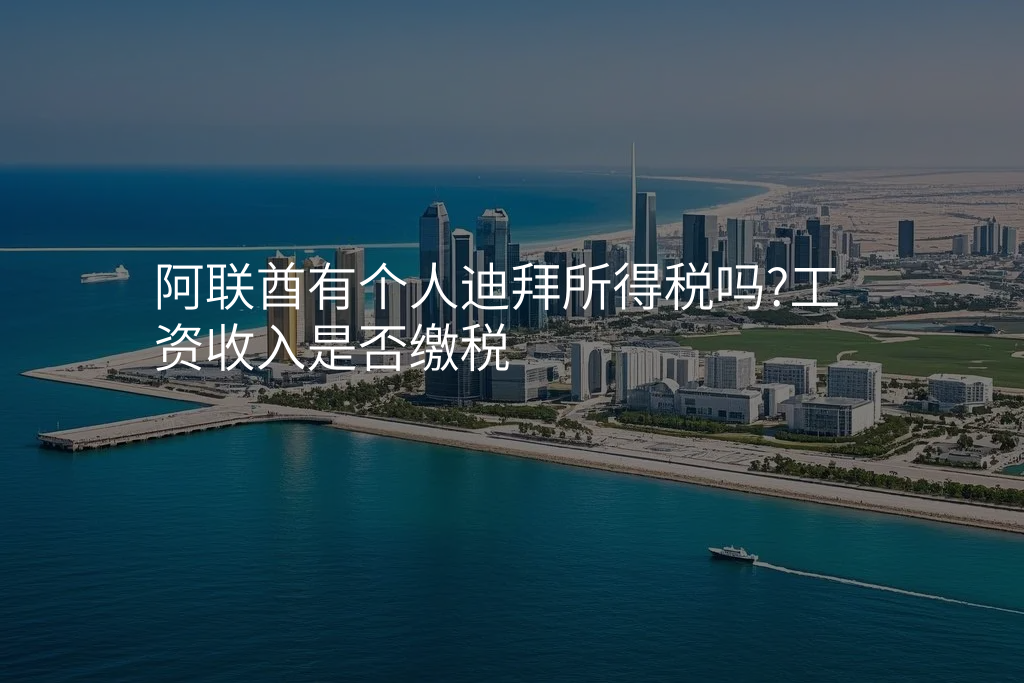阿联酋有个人迪拜所得税吗?工资收入是否缴税
