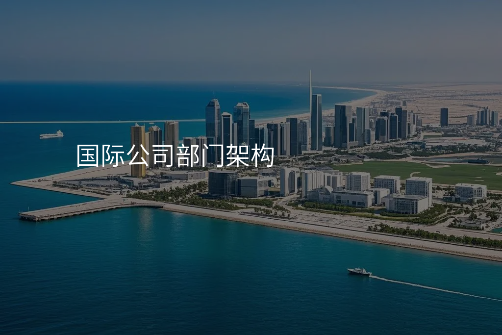 国际公司部门架构