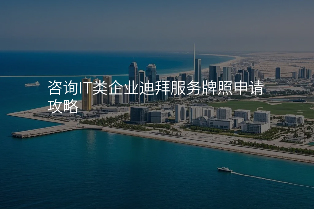 咨询IT类企业迪拜服务牌照申请攻略