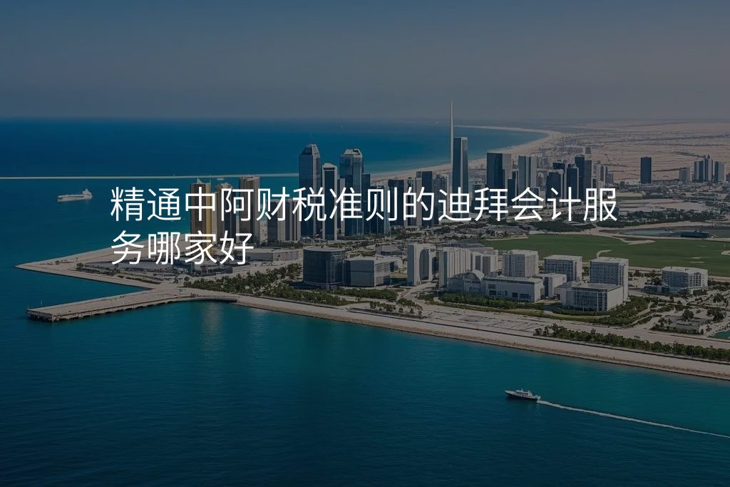 精通中阿财税准则的迪拜会计服务哪家好