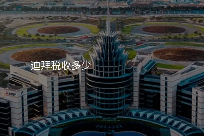 迪拜税收多少