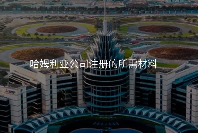 哈姆利亚公司注册的所需材料