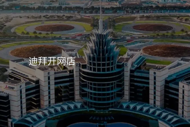 迪拜开网店