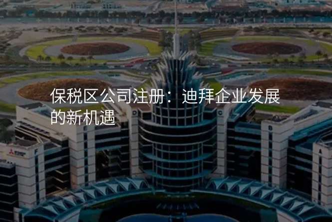 保税区公司注册:迪拜企业发展的新机遇