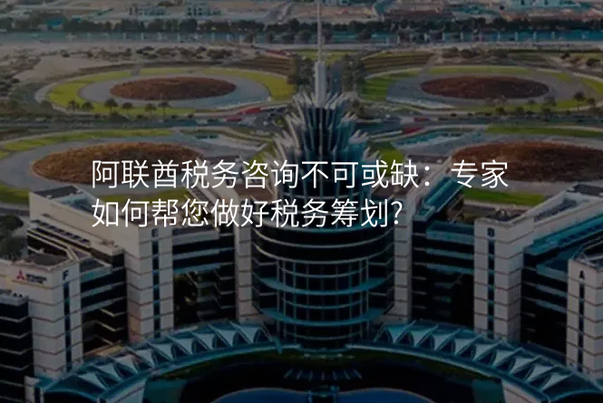 阿联酋税务咨询不可或缺:专家如何帮您做好税务筹划?