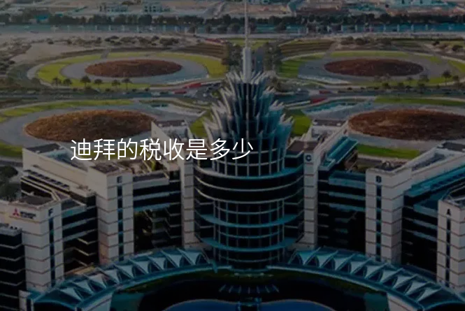 迪拜的税收是多少