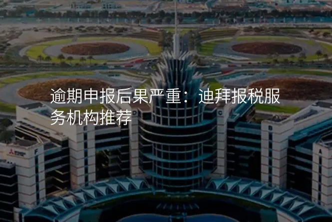 逾期申报后果严重:迪拜报税服务机构推荐