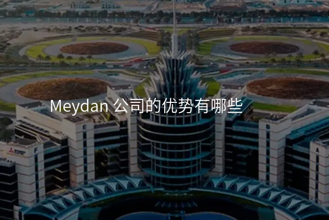 Meydan 公司的优势有哪些