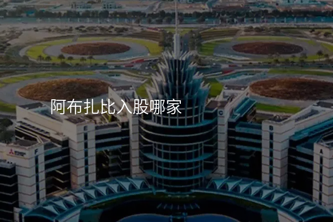 阿布扎比入股哪家