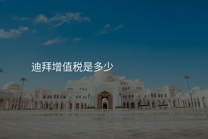 迪拜增值税是多少