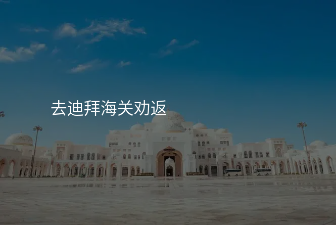 去迪拜海关劝返