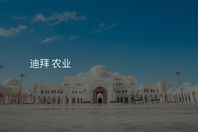 迪拜 农业