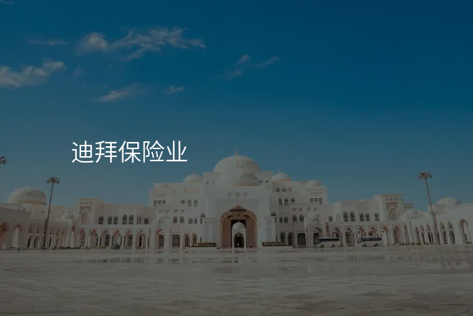 迪拜保险业
