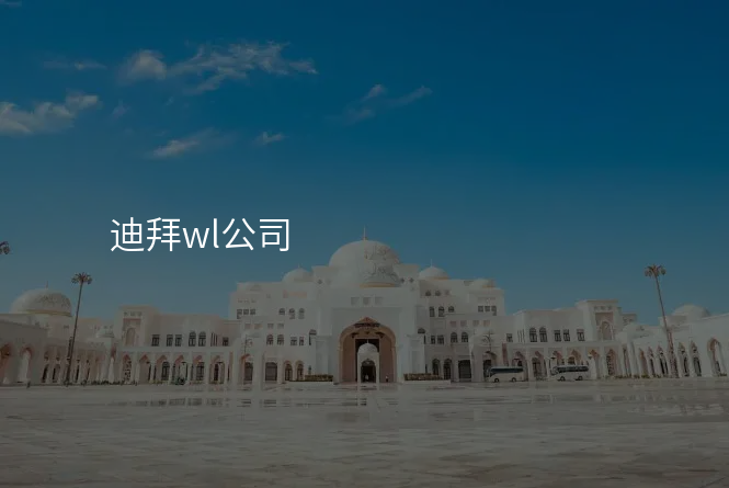 迪拜wl公司