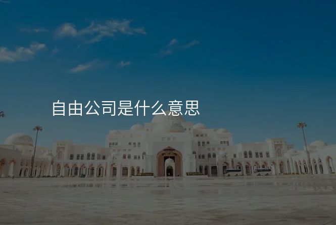 自由公司是什么意思