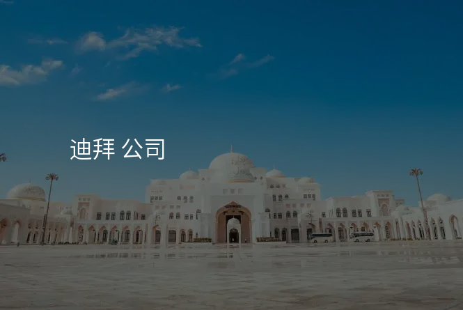 迪拜 公司