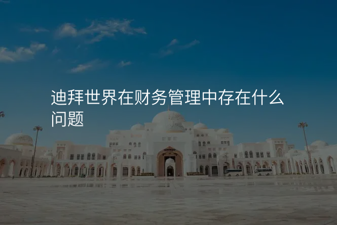 迪拜世界在财务管理中存在什么问题