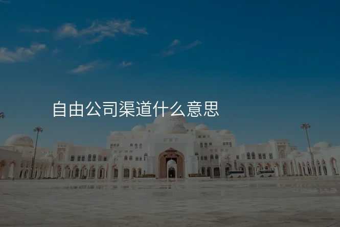 自由公司渠道什么意思
