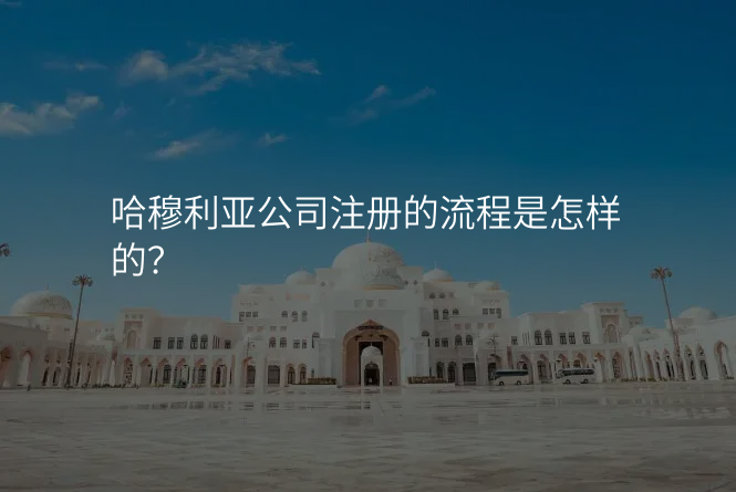 哈穆利亚公司注册的流程是怎样的?