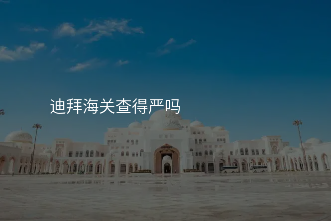 迪拜海关查得严吗