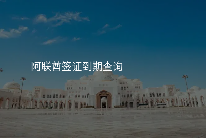 阿联酋签证到期查询