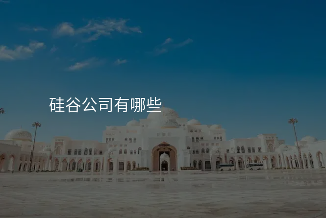 硅谷公司有哪些