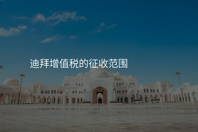 迪拜增值税的征收范围