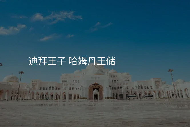 迪拜王子 哈姆丹王储