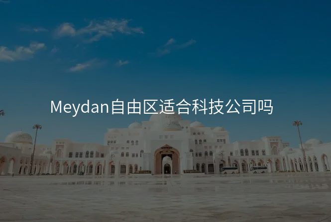 Meydan自由区适合科技公司吗