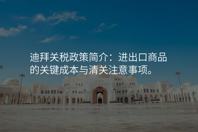 迪拜关税政策简介:进出口商品的关键成本与清关注意事项。