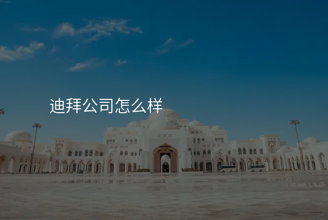 迪拜公司怎么样