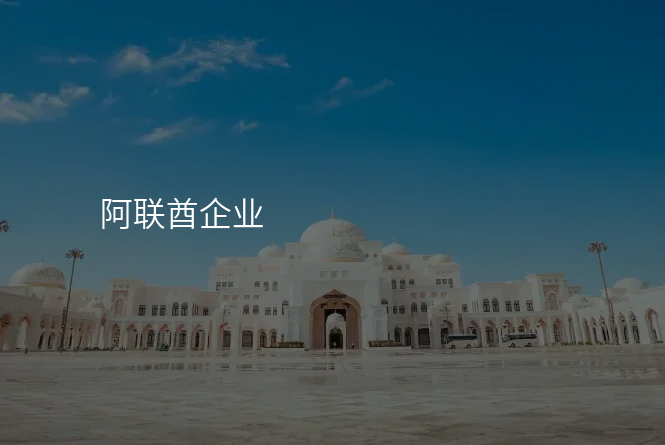 阿联酋企业
