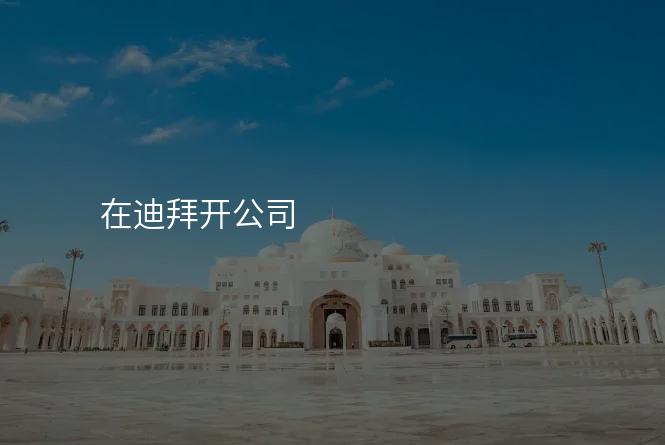 在迪拜开公司