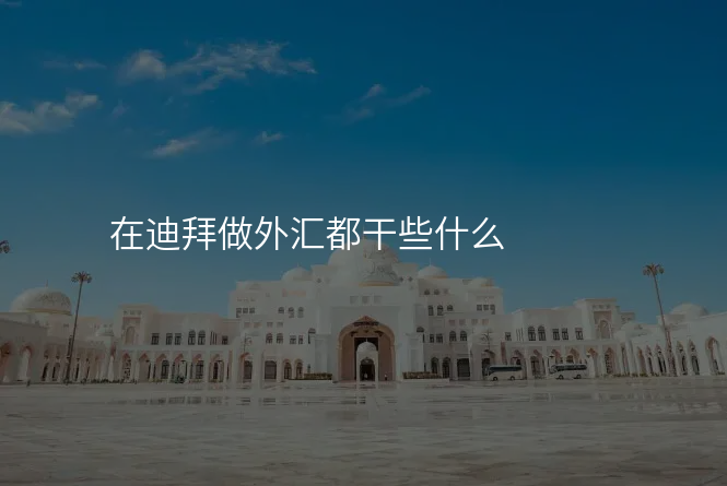 在迪拜做外汇都干些什么