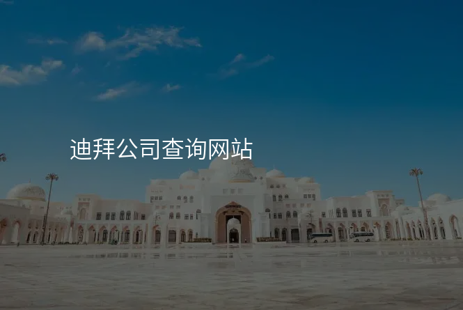 迪拜公司查询网站
