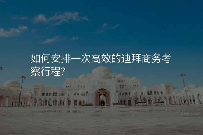 如何安排一次高效的迪拜商务考察行程?