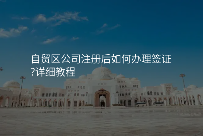 自贸区公司注册后如何办理签证?详细教程