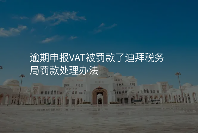 逾期申报VAT被罚款了迪拜税务局罚款处理办法