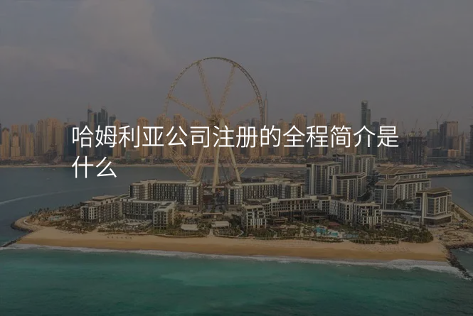 哈姆利亚公司注册的全程简介是什么