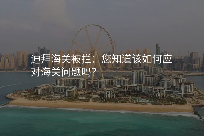 迪拜海关被拦:您知道该如何应对海关问题吗?