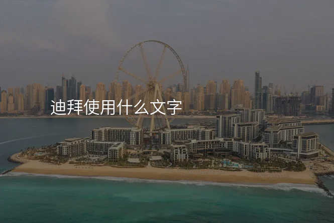 迪拜使用什么文字