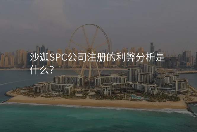 沙迦SPC公司注册的利弊分析是什么?