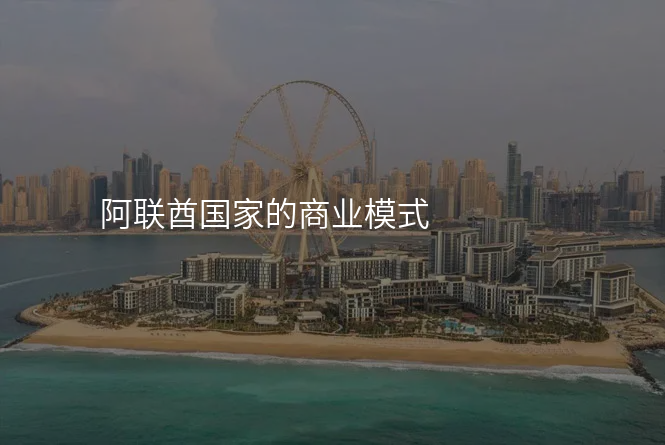 阿联酋国家的商业模式
